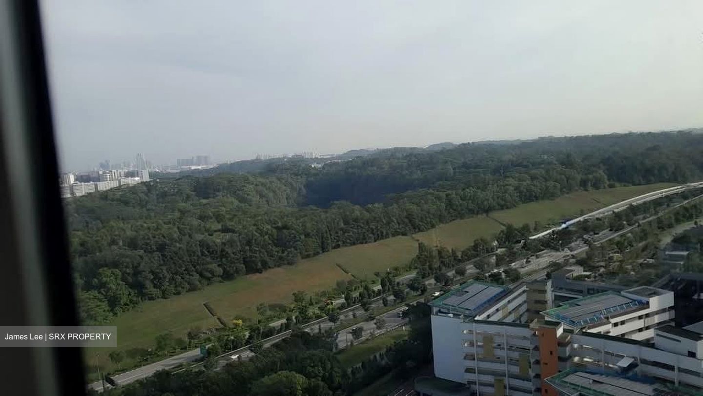 Blk 636C Senja Parc View (Bukit Panjang), HDB 4 Rooms #570579271
